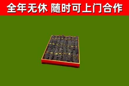 巴彦淖尔回收海参